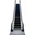 600mm, 800mm, 1000mm Largeur de pas Ascenseur et Escalator Industrie